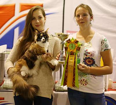 �������� ����� 20-21 �������� 2014 WCF-�����  7-39-169A1466 copy.jpg